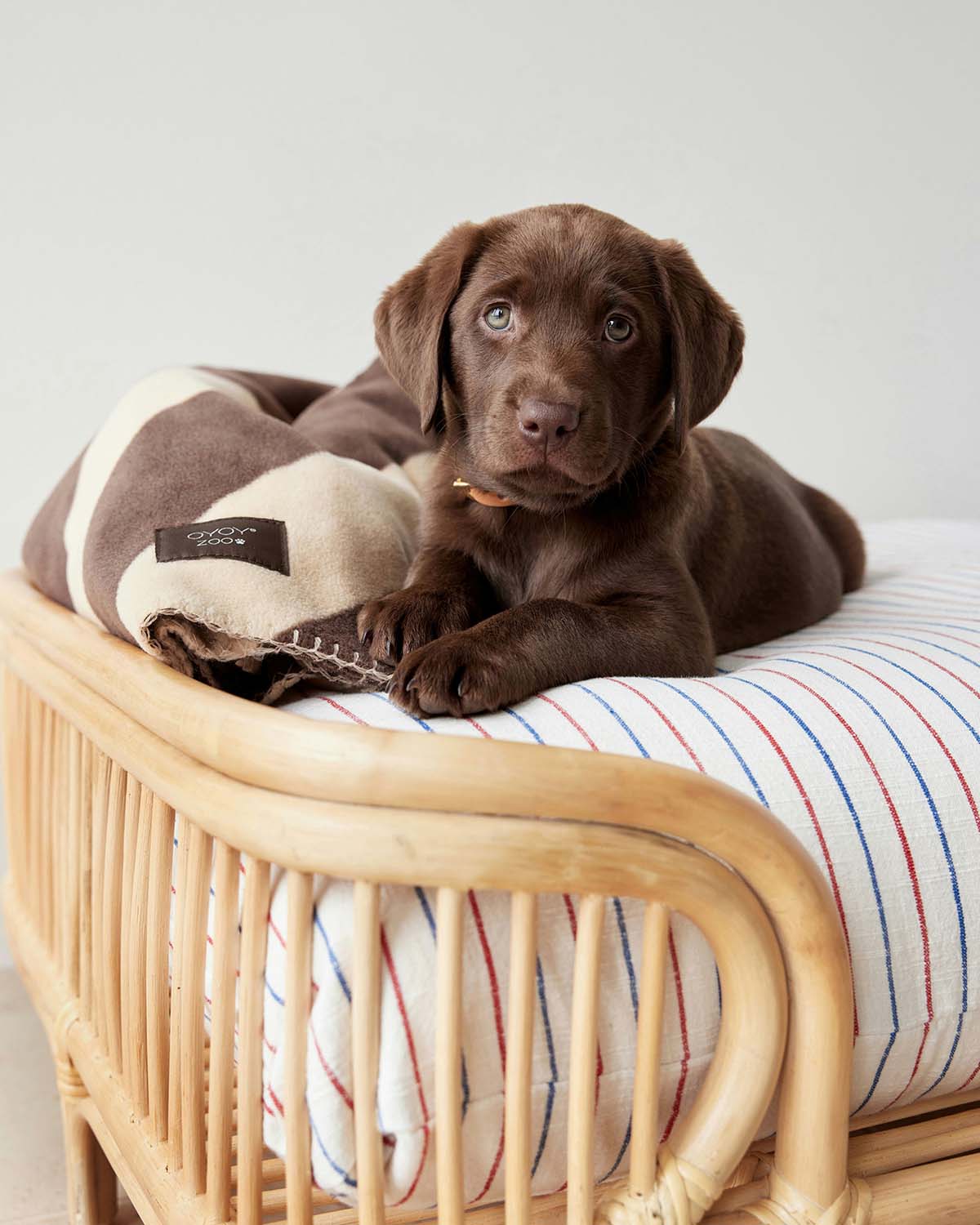 Miniaturebillede 4